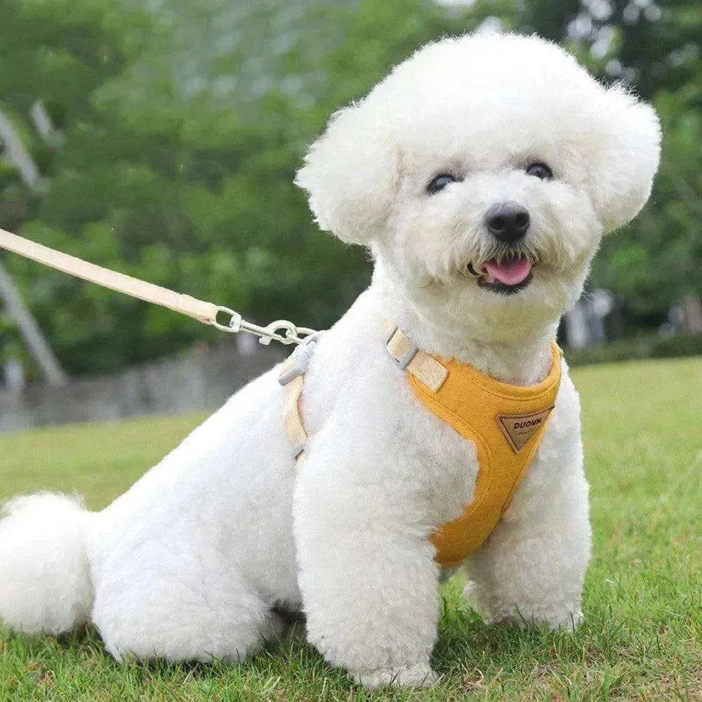 Harnais pour petit chien avec sangle pectorale anti-évasion EX-STOCK CANADA