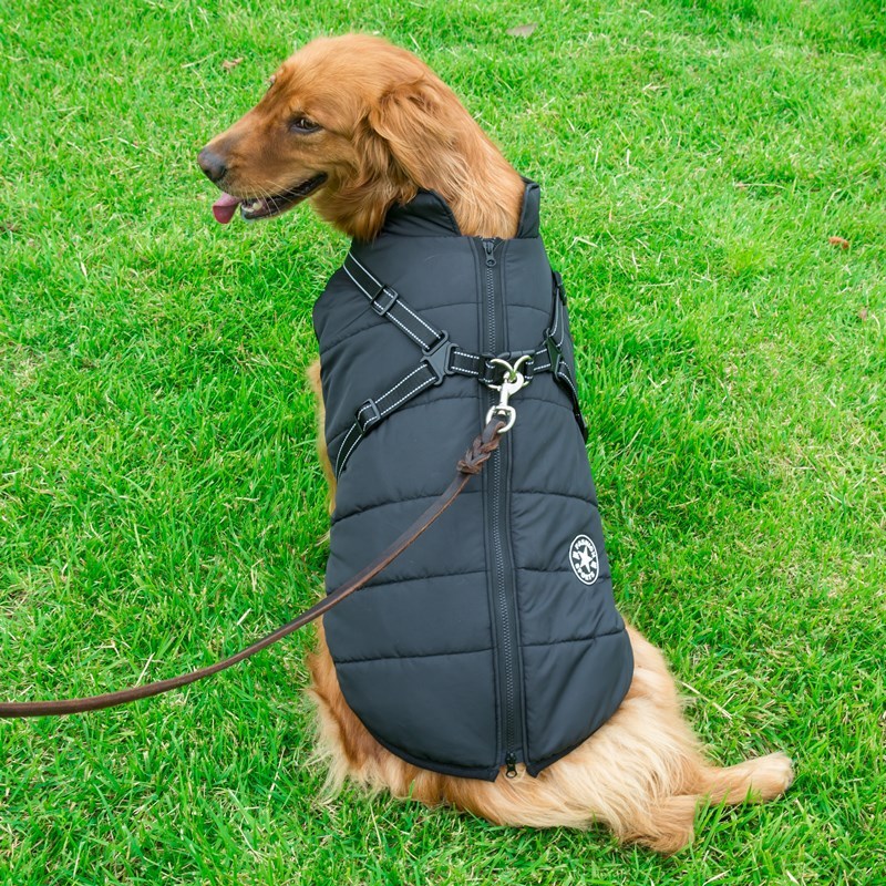 Dog Clothes Chest Back Integrated Cotton Vest Pet Cotton Clothes Winter Clothes EX-STOCK Canada