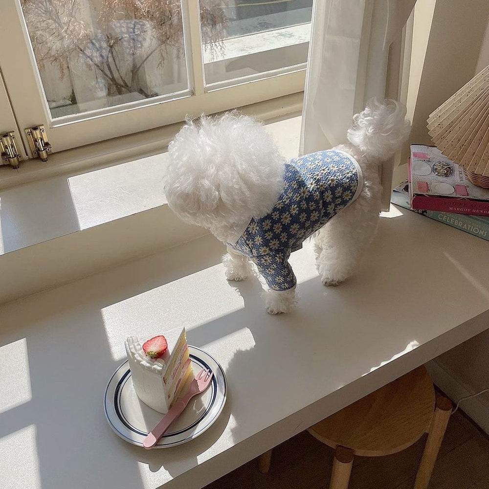 Vêtements à imprimer pour chiens mignons et simplesEX-STOCK Canada