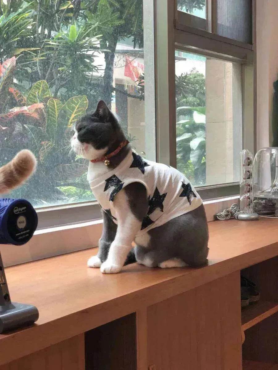 Fashionable Pet Cotton comfy Clothes - EX-STOCK Canada