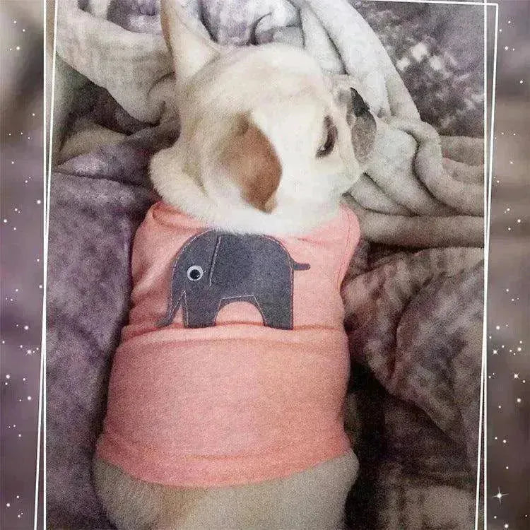 Vêtements confortables en coton à la mode pour animaux de compagnie - EX-STOCK CANADA