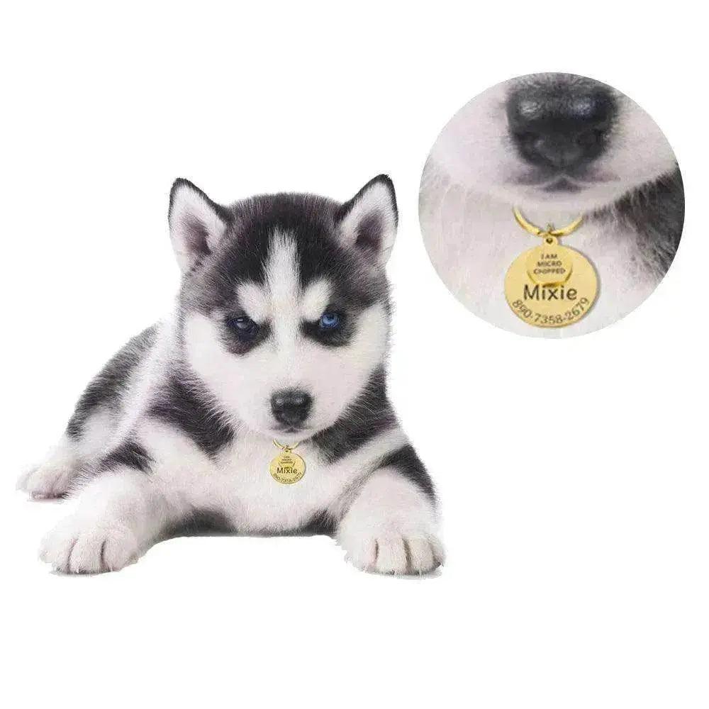 Collier Personnalisé DRÔLE POD Étiquette d'Identité pour Animal Porte-Clés - EX-STOCK Canada