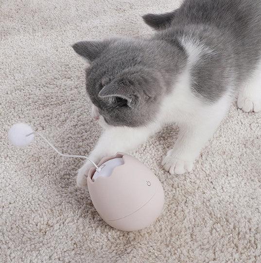 Funny cat artifact cat toys EX-STOCK Canada