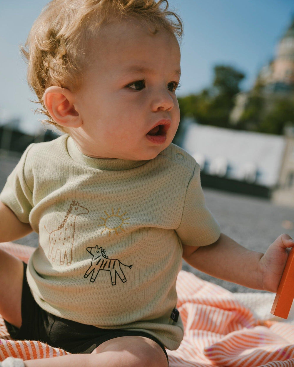 Ensemble T-shirt en jersey côtelé de coton et short en jersey de coton biologique Vert sauge et noir