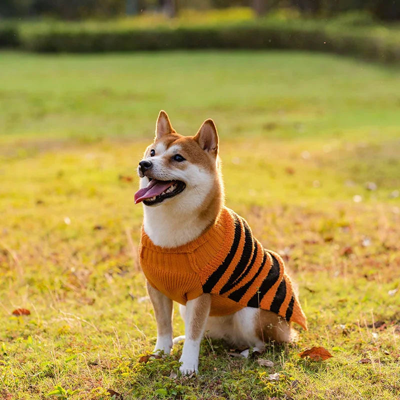 Suéteres de Halloween para perros, disfraz de mascota, suéter cálido de ocio, ropa de cosplay para perros, atuendos para mascotasEX-STOCK Canada