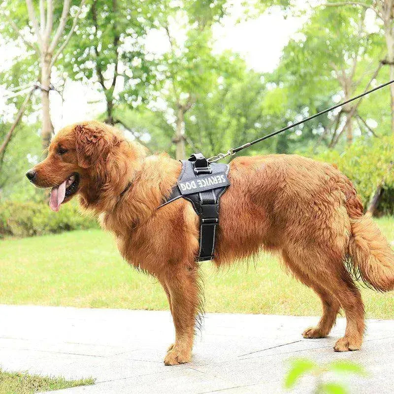 Personnalisation de haute qualité de la sangle de poitrine / laisse pour animaux EX-STOCK Canada