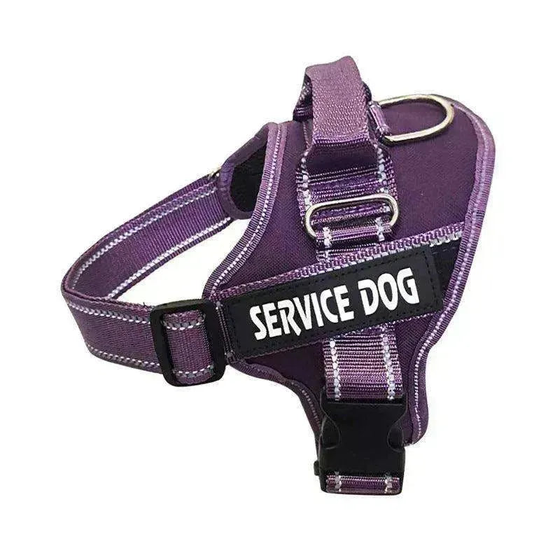 Personnalisation de haute qualité de la sangle de poitrine / laisse pour animaux EX-STOCK CANADA