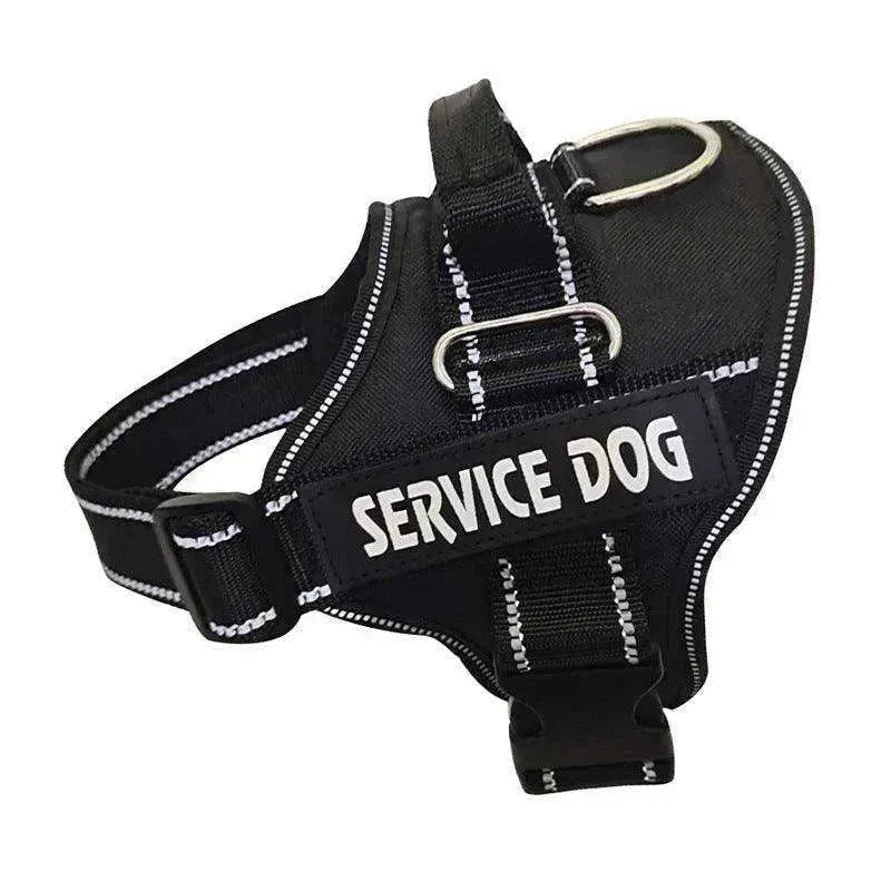 Personnalisation de haute qualité de la sangle de poitrine / laisse pour animaux EX-STOCK CANADA