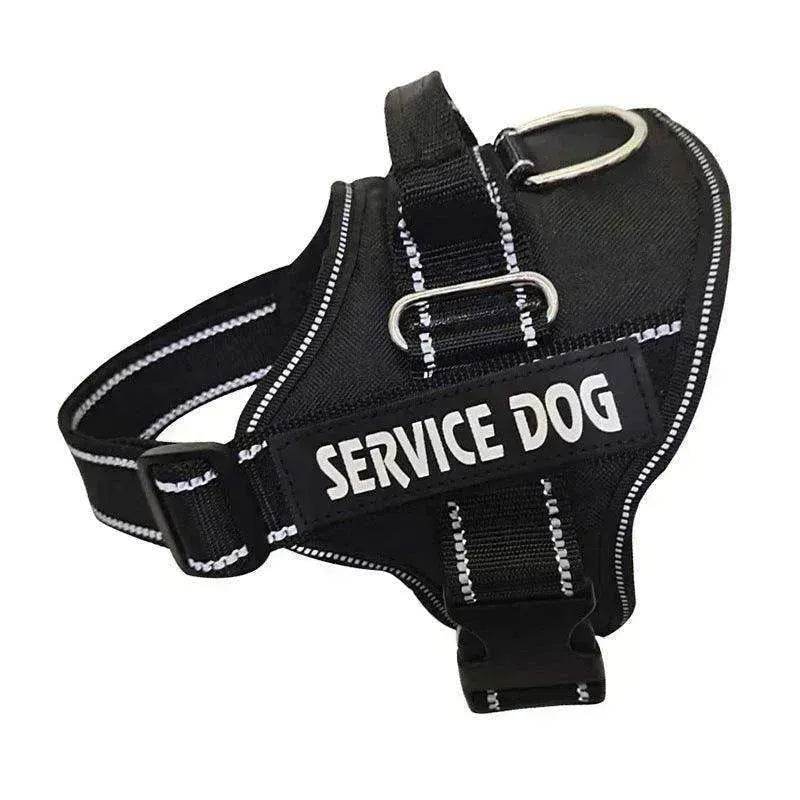 High Quality Personalization Of Pet Chest Strap / leash - EX-STOCK Canada