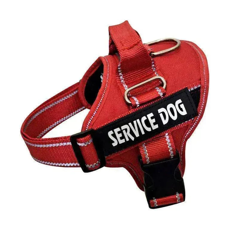 Personnalisation de haute qualité de la sangle de poitrine / laisse pour animaux EX-STOCK CANADA
