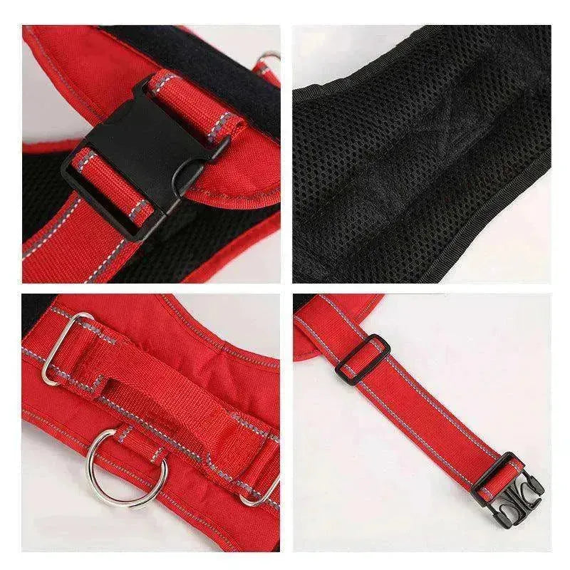 Personnalisation de haute qualité de la sangle de poitrine / laisse pour animaux EX-STOCK CANADA