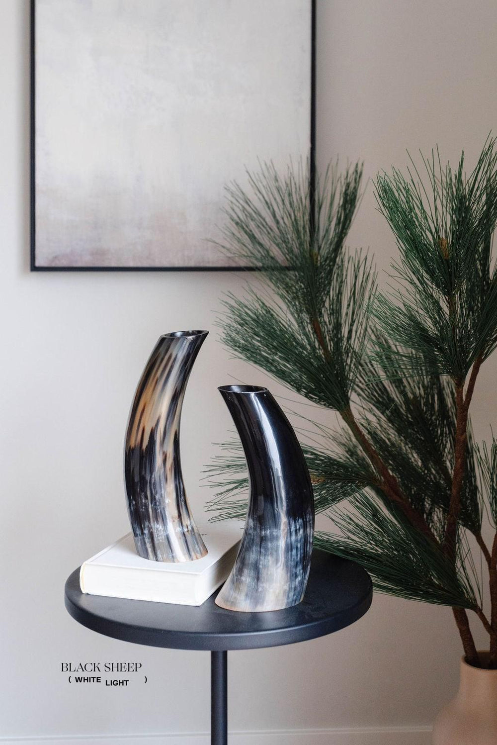 Vase sombre avec cornes Ankole et GyrEX-STOCK Canada