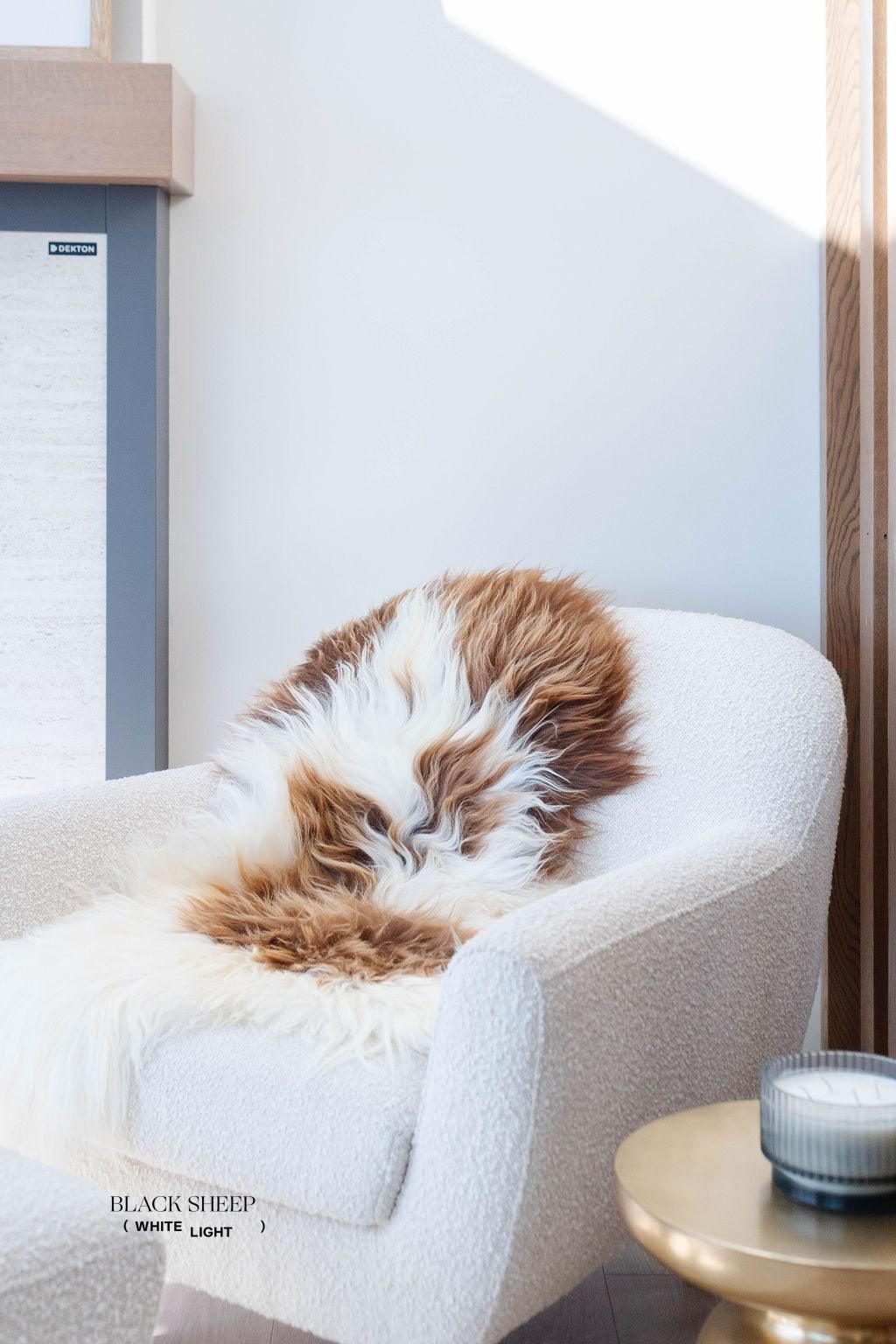 Brown Spotted Icelandic Sheepskin | Random EX-STOCK Canada