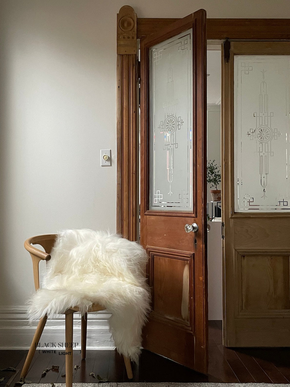 جلد خروف إيسلندي أبيضEX-STOCK Canada