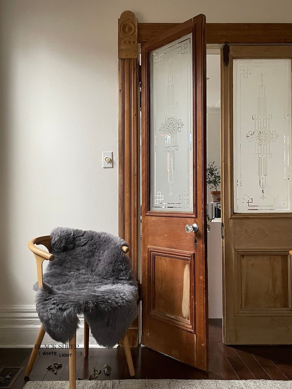 صوف خروف أيسلندي فضي مقصوصEX-STOCK Canada