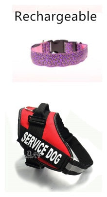 LED Dog Collar Safety Adjustable Nylon Leopard Pet Collar EX-STOCK Canada