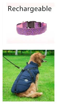 LED Dog Collar Safety Adjustable Nylon Leopard Pet Collar EX-STOCK Canada