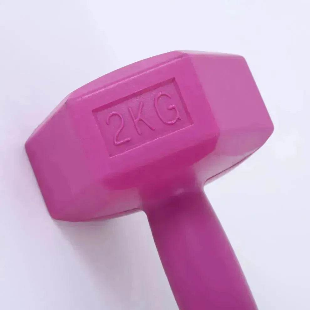Gym pour femmes Aérobic Sable de remplissage Hexagone Haltère - EX-STOCK Canada