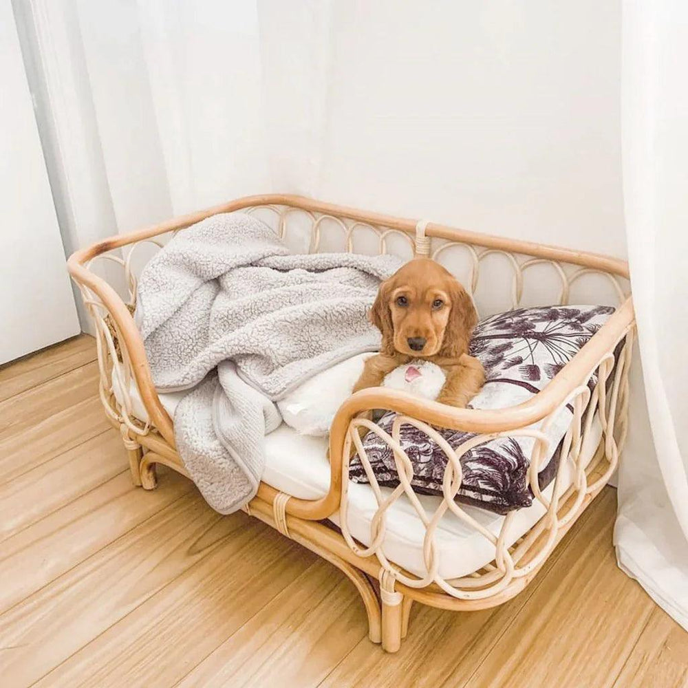 Pet Bed Handmade Rattan Woven Pet Bed Sofa For Dogs EX-STOCK Canada