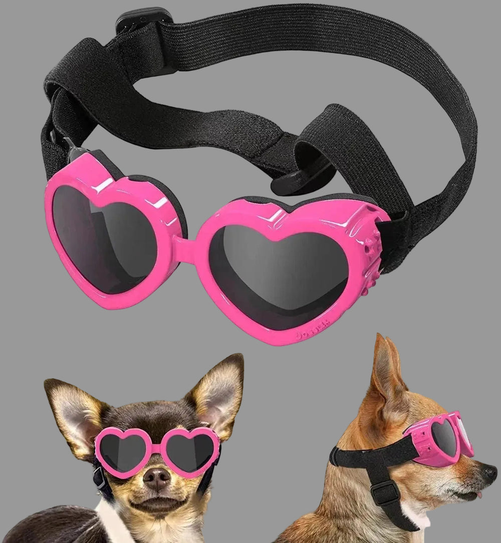 Pet Glasses Windproof Eye Protection Accessories EX-STOCK Canada
