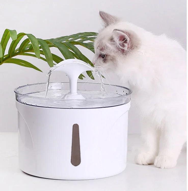Pet Water Dispenser Intelligent Automatic Circulating Filter Water Dispenser EX-STOCK Canada