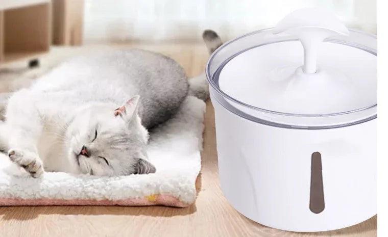 Distributeur d'eau pour animaux intelligent à circulation automatique avec filtreEX-STOCK Canada