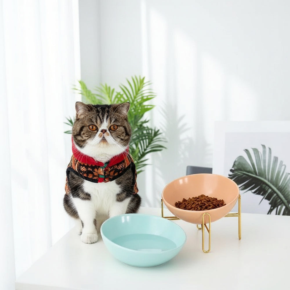 Bol pour animaux, fournitures pour animauxEX-STOCK Canada