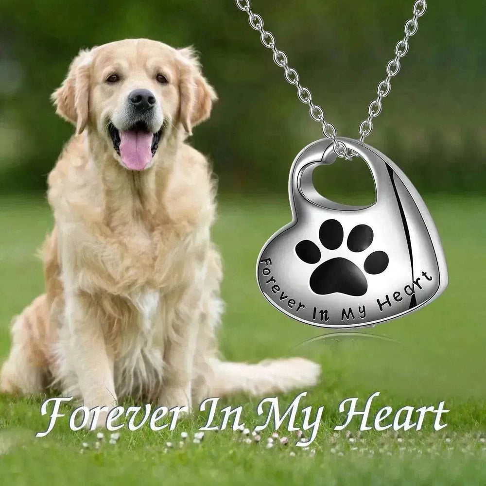 White Gold Plated Sterling 925 Silver Pet Paw Urn Necklace - EX-STOCK Canada