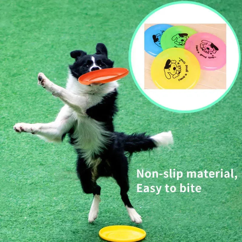 Pet Supplies Dog Outdoor Interactive Toys - EX-STOCK CANADA