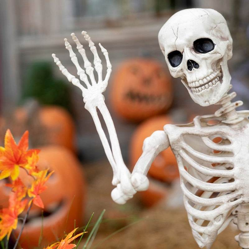 Halloween Movable Joint Skeleton Plastic Model 90cm Party Outdoor Decoration Props - EX-STOCK Canada