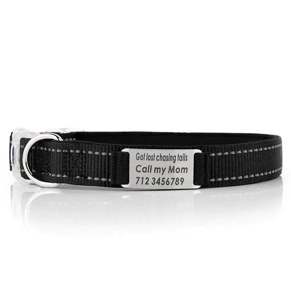 Customized Nylon Dog Collar - EX-STOCK Canada