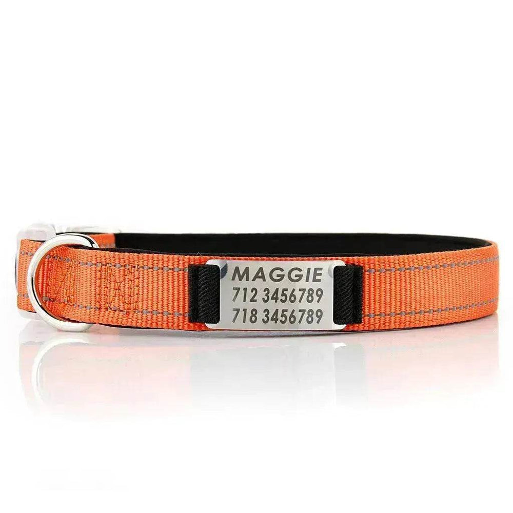 Customized Nylon Dog Collar - EX-STOCK Canada
