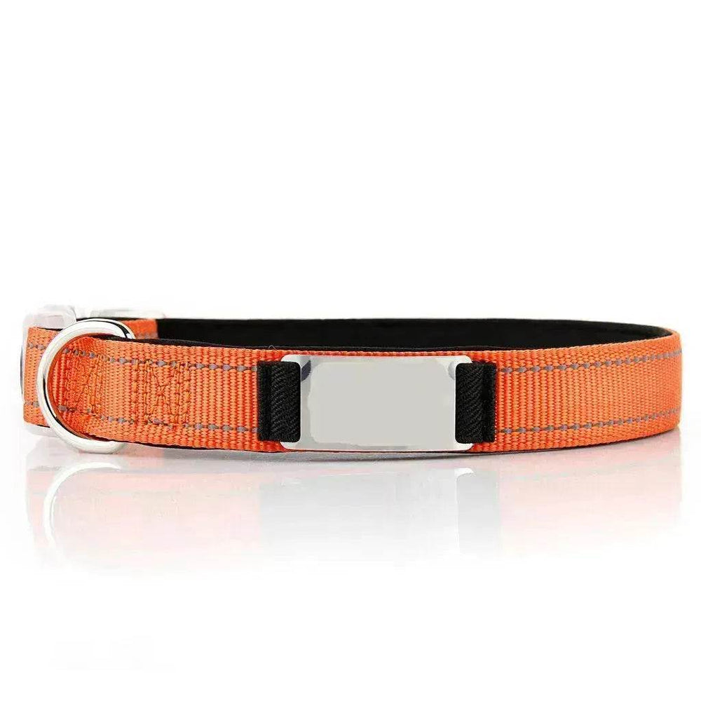 Customized Nylon Dog Collar - EX-STOCK Canada