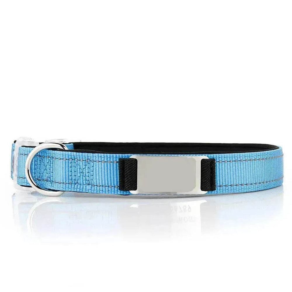 Customized Nylon Dog Collar - EX-STOCK Canada