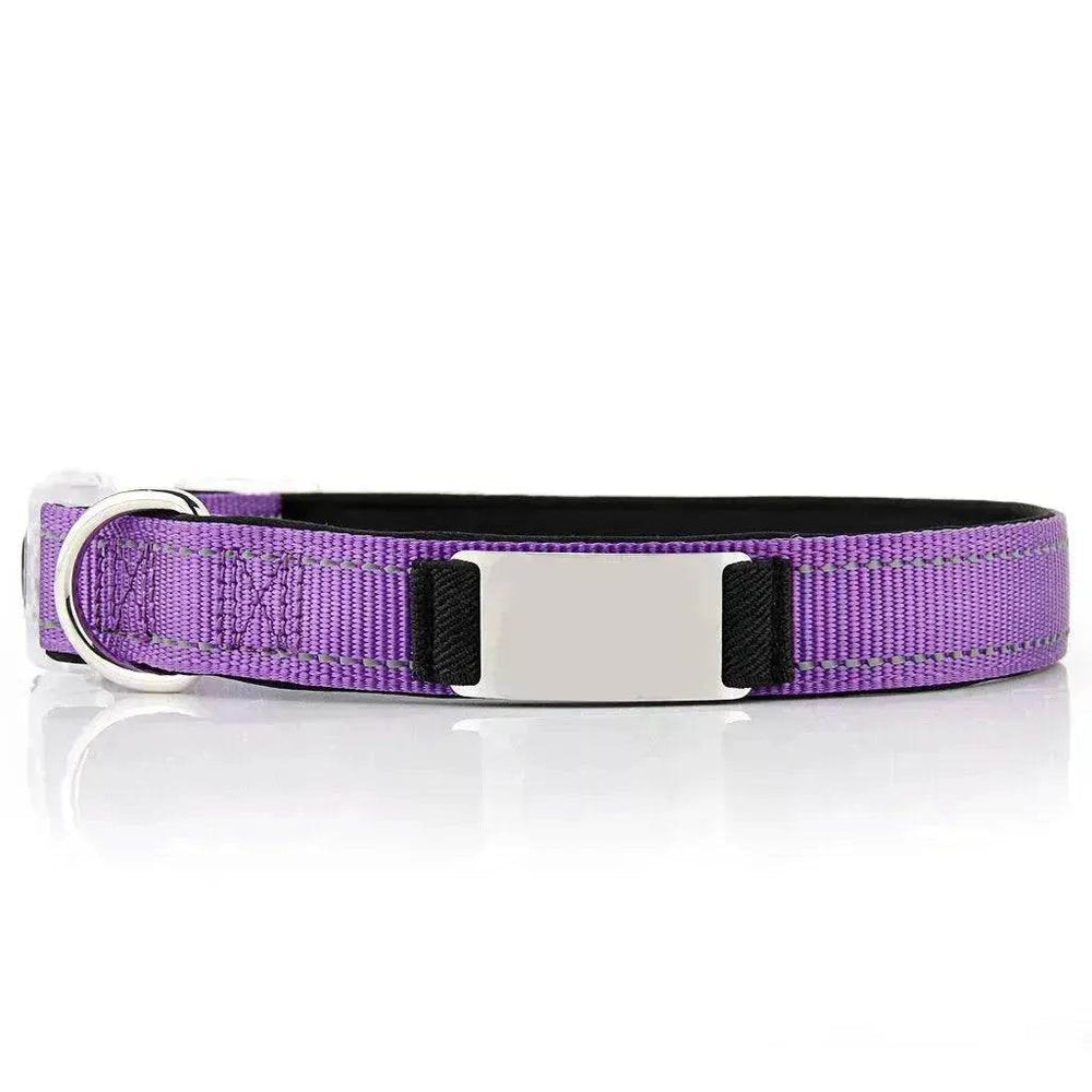 Customized Nylon Dog Collar - EX-STOCK Canada