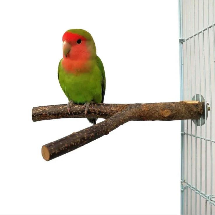 Bird Standing Frame Rattan Ring Chewing Toy Bird Cage EX-STOCK Canada