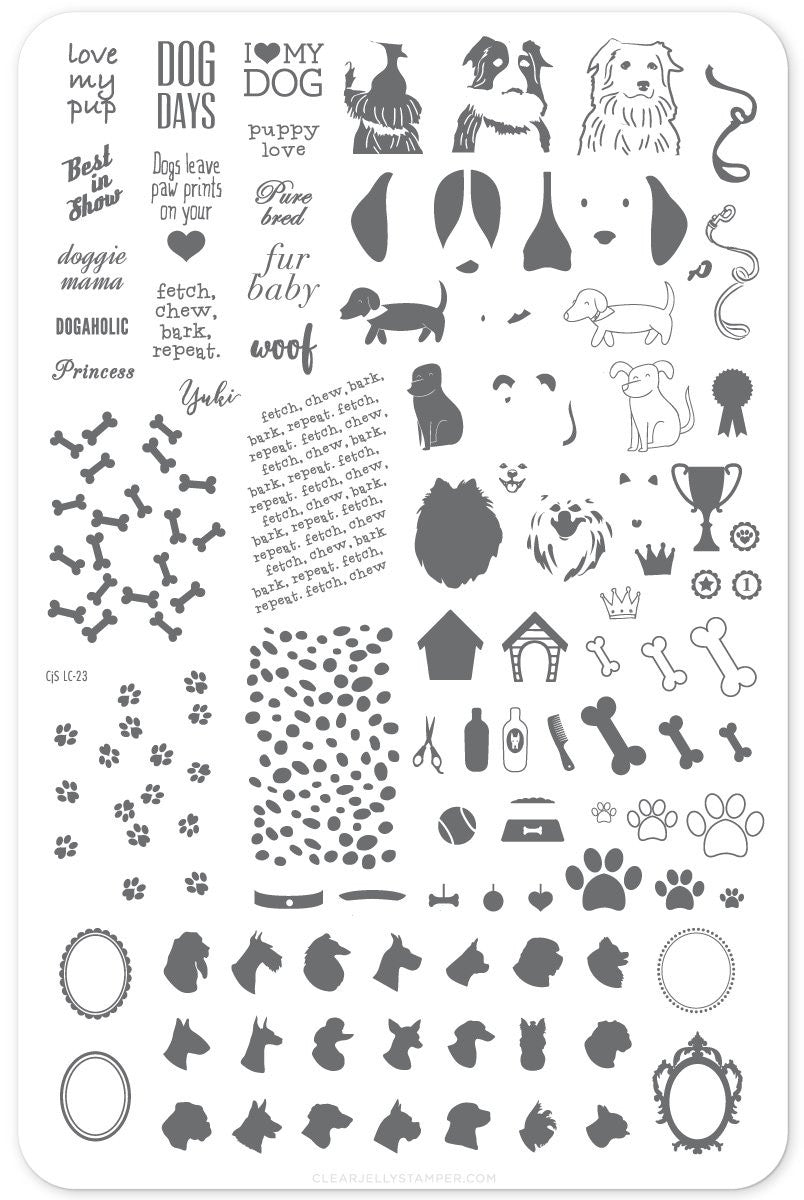 ختم هلامي شفاف - حب الجروEX-STOCK Canada