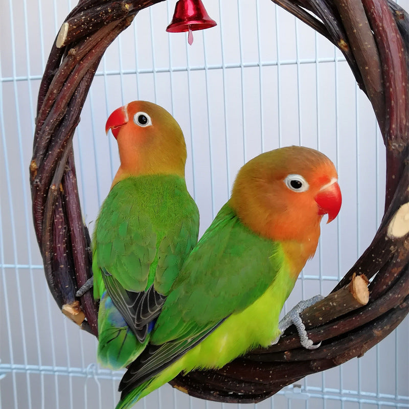 Bird Standing Frame Rattan Ring Chewing Toy Bird Cage EX-STOCK Canada