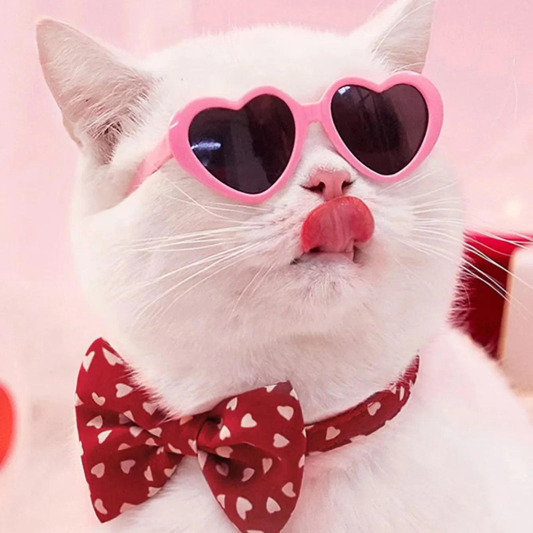 Doll Sunglasses Pet Toy Accessories EX-STOCK Canada