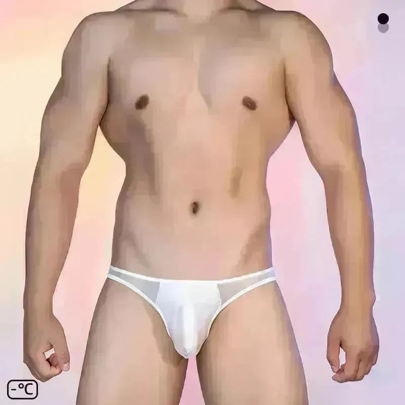 See-through Thin Transparent Silky Men's Low Waist Briefs - EX-STOCK CANADA