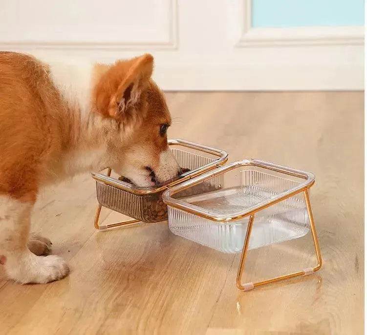 Neck-protecting sloped pet feed bowl Stand - EX-STOCK Canada