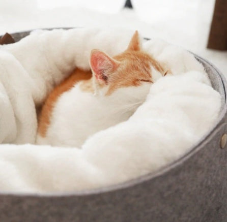 pet bed EX-STOCK Canada