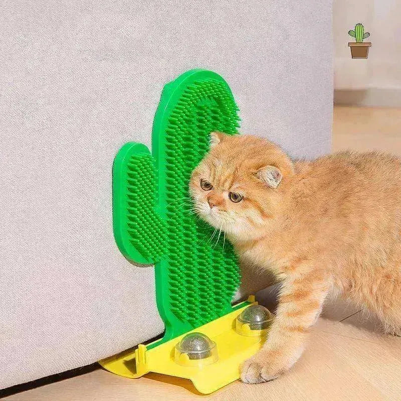 Cactus Design Brosse à Poils de Chat Coin Jouet de Chatouillement - EX-STOCK Canada