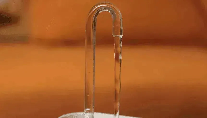 Distributeur d'eau pour animaux et filtre à eau avec fontaine - EX-STOCK CANADA