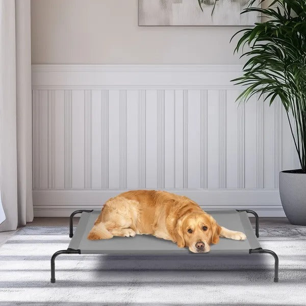 50D X 31W X 8H Dog Bed EX-STOCK