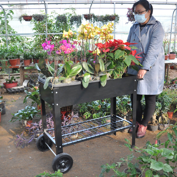 Mobile Metal Raised Garden Bed Cart With Legs, Elevated Tall Planter Box With Wheels For Outdoor Indoors House Patio  Vegetables Tomato DIY Herb Grow -Black EX-STOCK