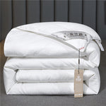 Summer Quilt Spring And Autumn Thickening Thermal Winter Duvet EX-STOCK Canada 