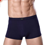 Men's Underwear Boxer Briefs Panties Bamboo Fiber Modal - EX-STOCK Canada