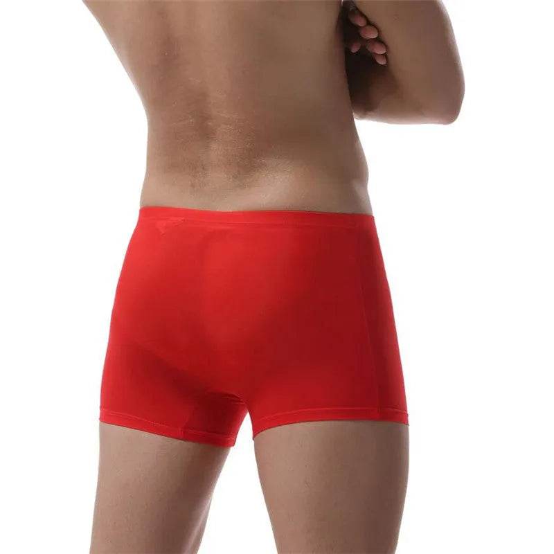 Ice Silk Transparent Elastic Boxer briefs Pant underwear for men - EX-STOCK Canada