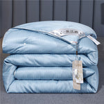 Summer Quilt Spring And Autumn Thickening Thermal Winter Duvet EX-STOCK Canada 